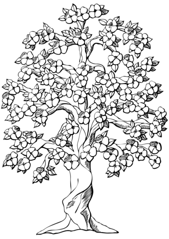 Flowering Apple Tree Coloring Page